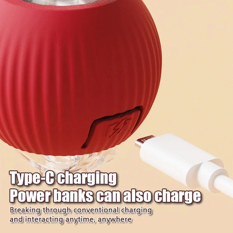 Sef99062b5c9145859284e44da81c3929C